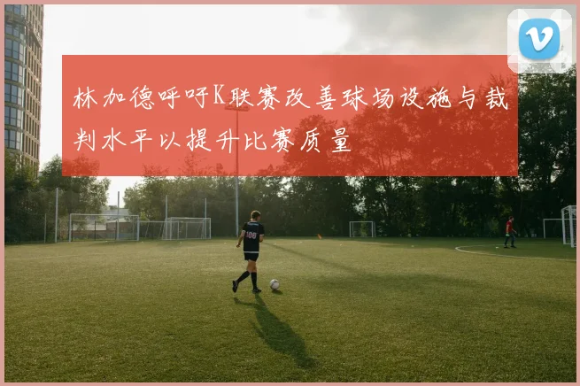 林加德呼吁K联赛改善球场设施与裁判水平以提升比赛质量